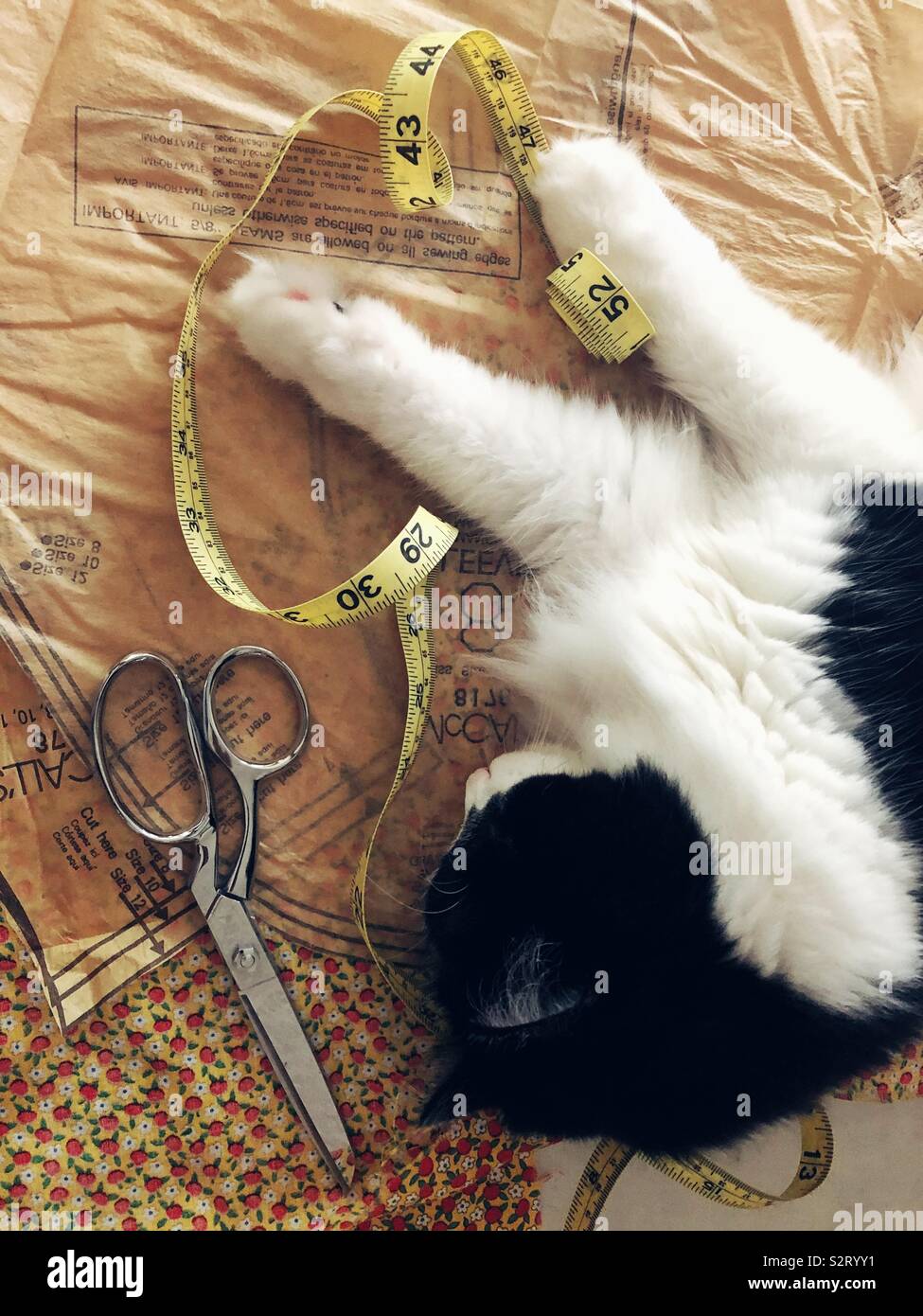 Seamstress apprentice - Smartphone Captured Stock Image
