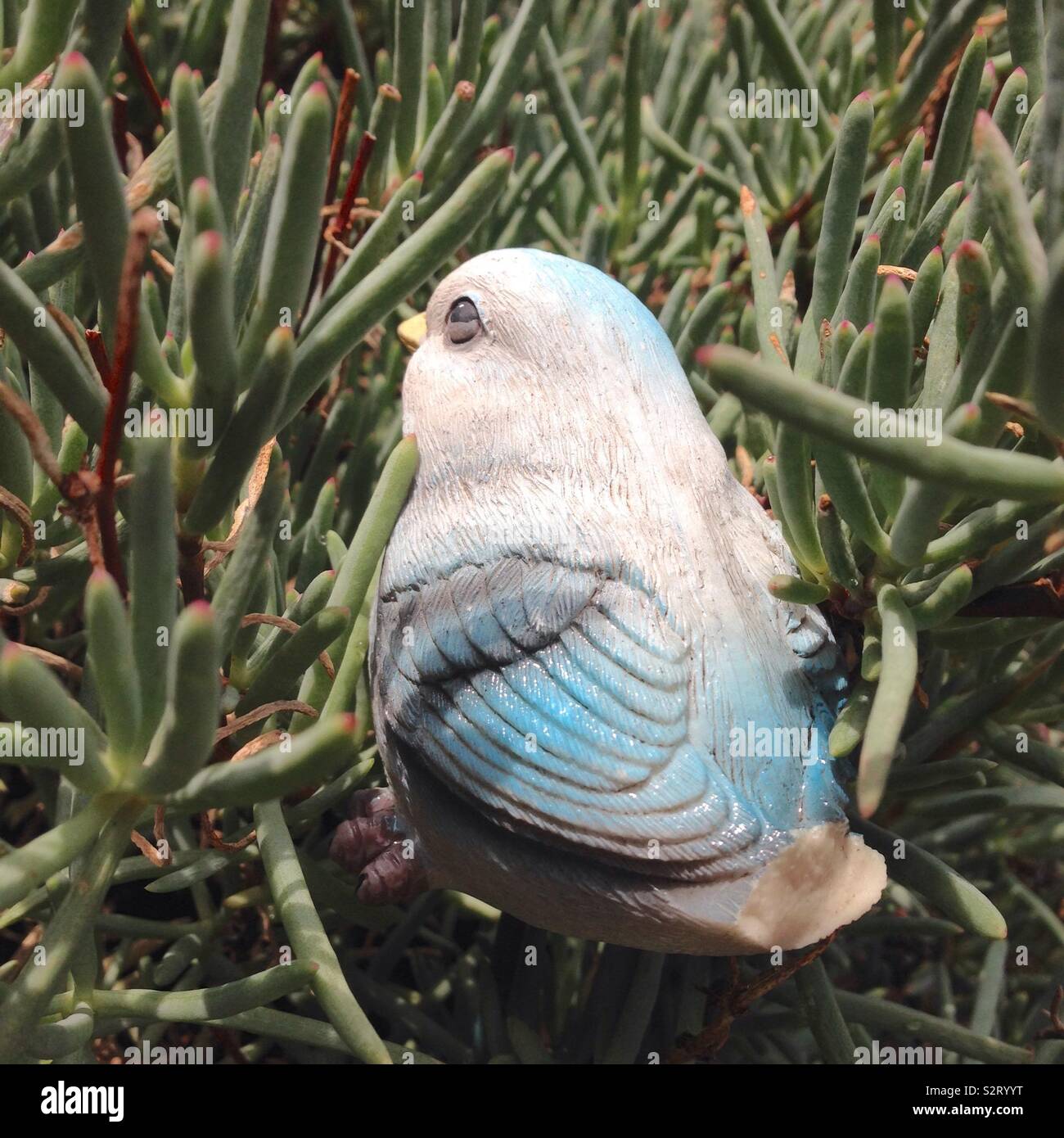 Synthetic bird in the grass - Smartphone Captured Stock Image