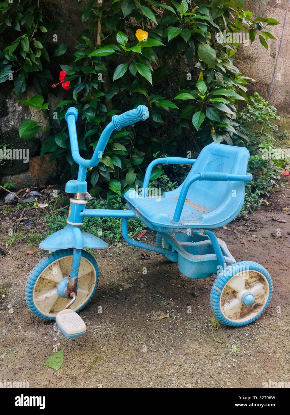 cute tricycle