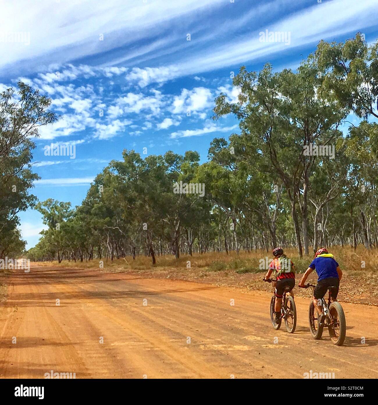riding a fat bike on the road