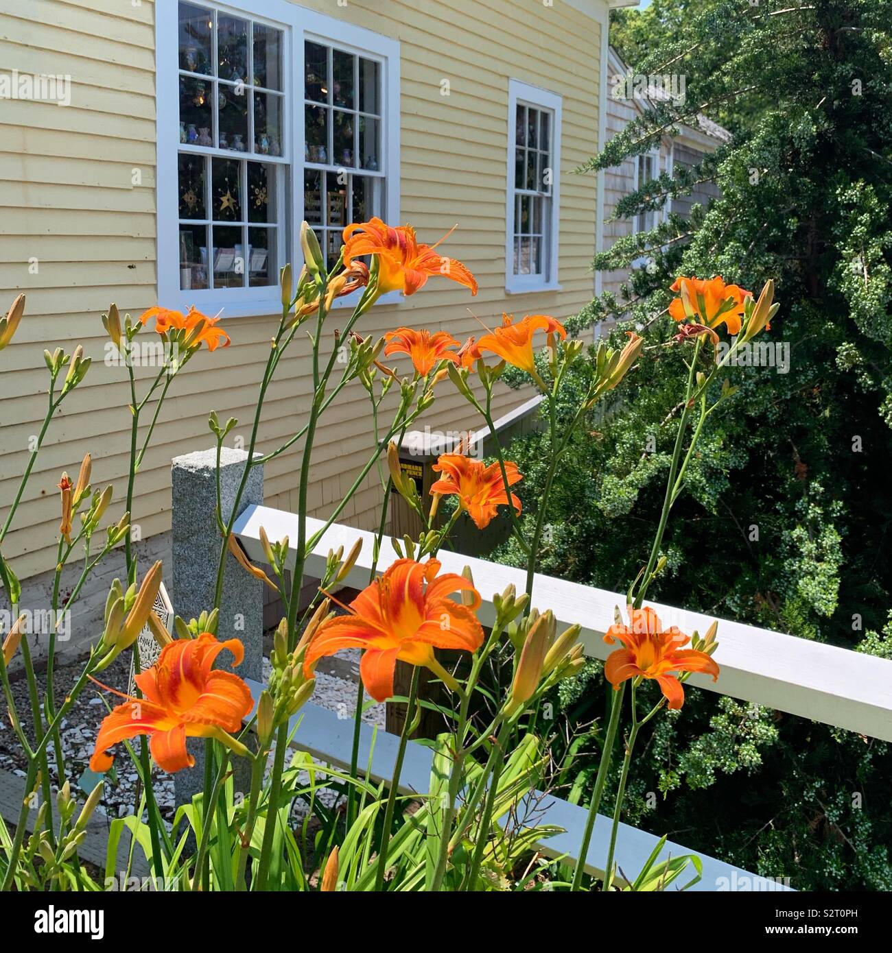 Summer in downtown Wellfleet, Cape Cod, Massachusetts, United States