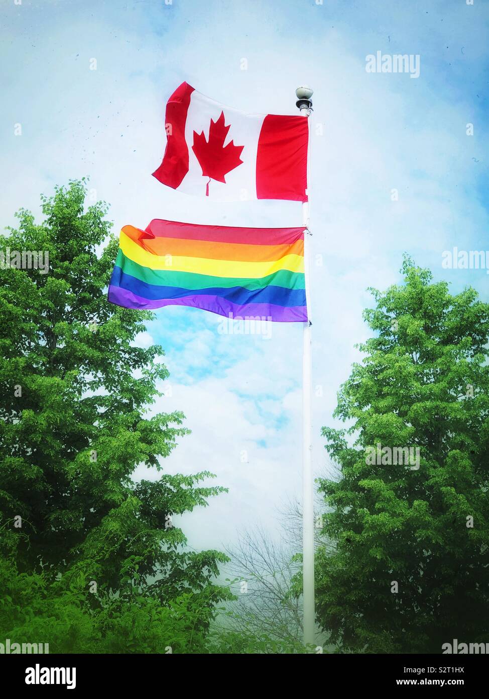Canada and pride flags together on a flagpole blowing in the wind - Smartphone Captured Stock Image Canada and pride flags together on a flagpole blowing in the wind - Smartphone Captured Stock Image