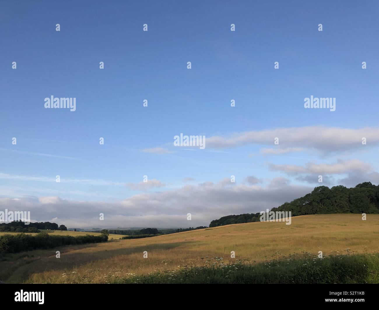Blue sky with clouds over golden field Stock Photo - Alamy