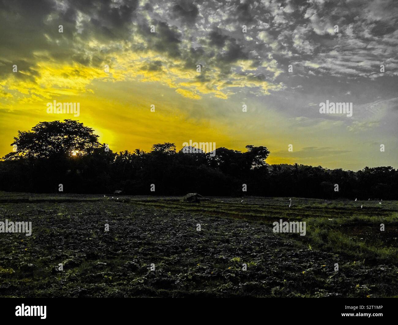Very nice sun set Sri Lanka Stock Photo