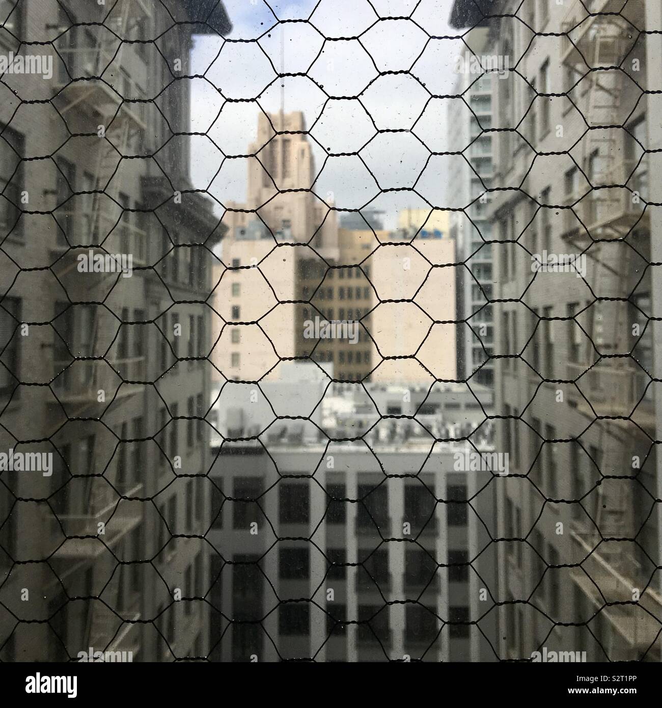 View through sharp-focused foreground of safety glass, looking at buildings in Downtown Los Angeles, soft focus in background - Smartphone Captured Stock Image View through sharp-focused foreground of safety glass, looking at buildings in Downtown Los Angeles, soft focus in background - Smartphone Captured Stock Image