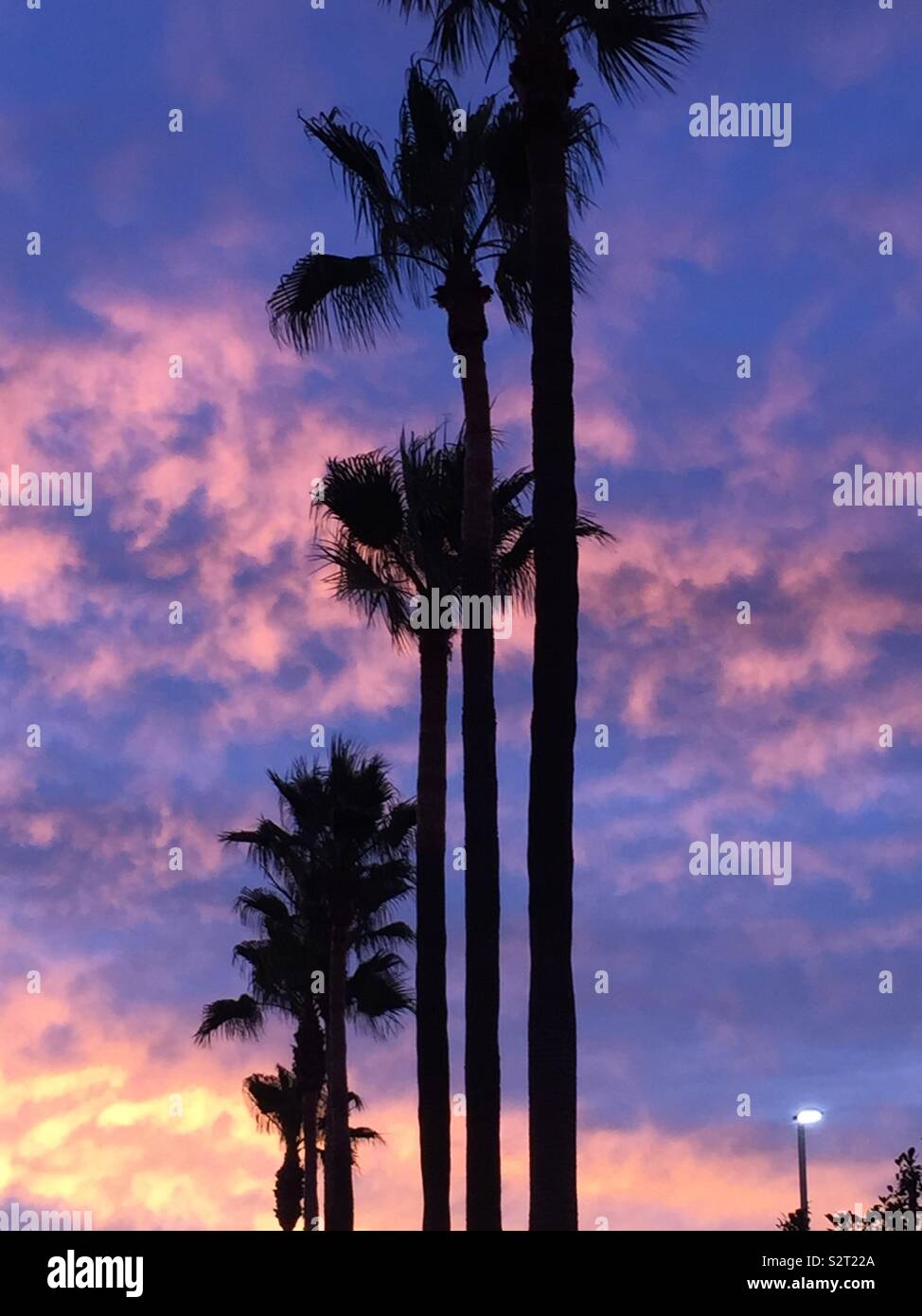Southern California Sunset. - Smartphone Captured Stock Image