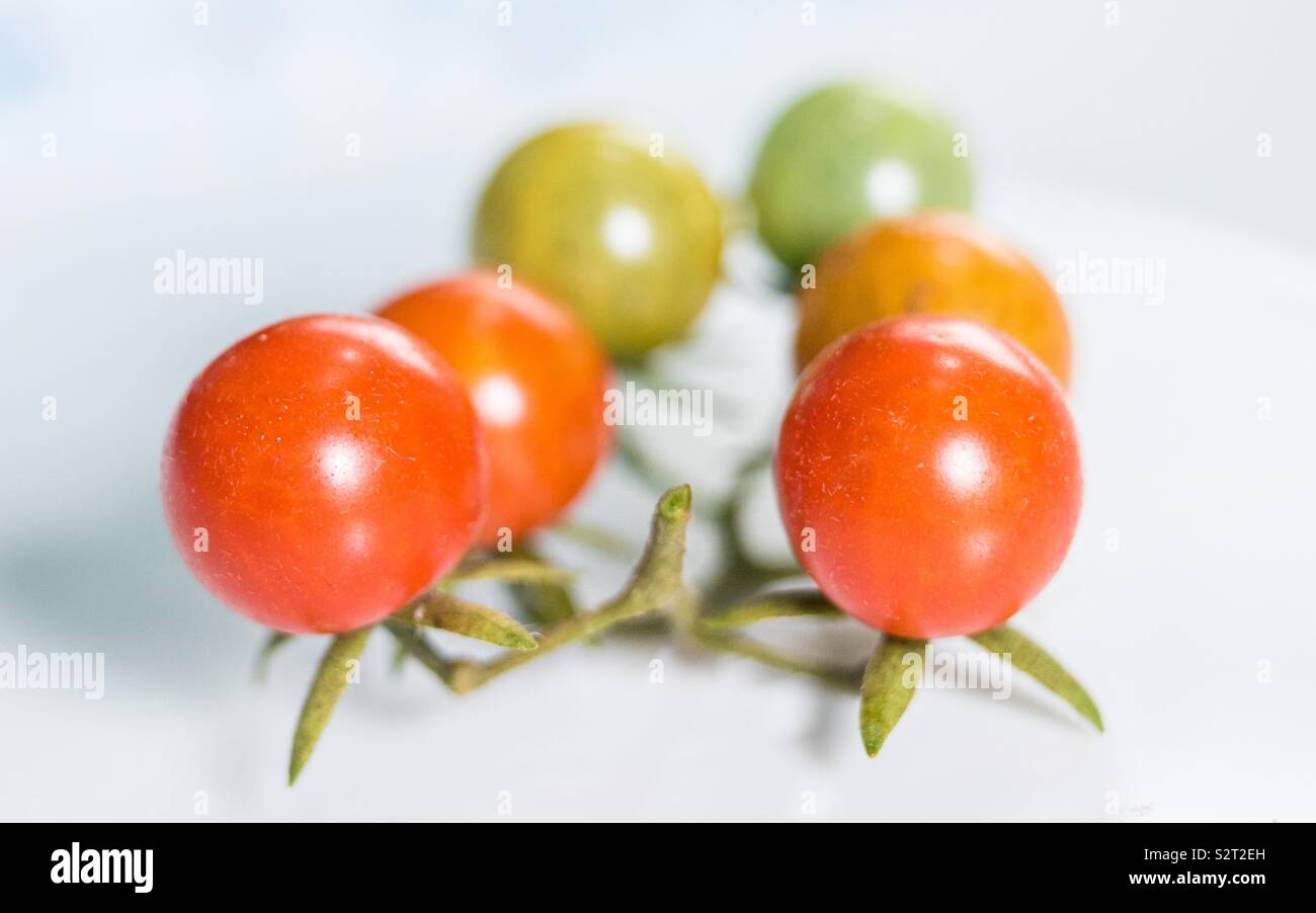 Vegetables fruits Tomatoes Stock Photo Alamy