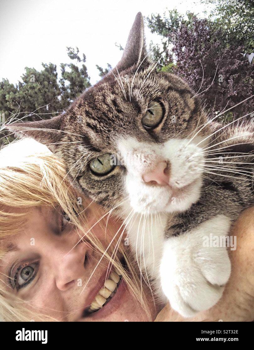Pet owner with he-cat. - Smartphone Captured Stock Image