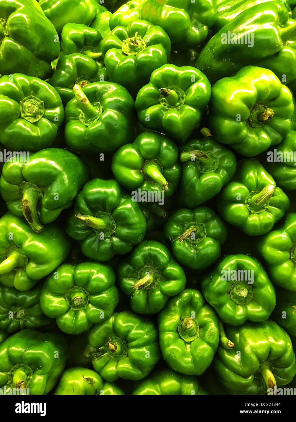 Stack of farm fresh delicious tasty green peppers. Stock Photo