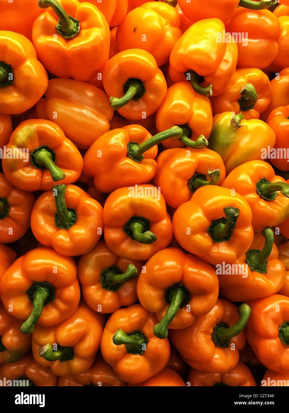 Stack of farm fresh delicious tasty orange peppers. Stock Photo