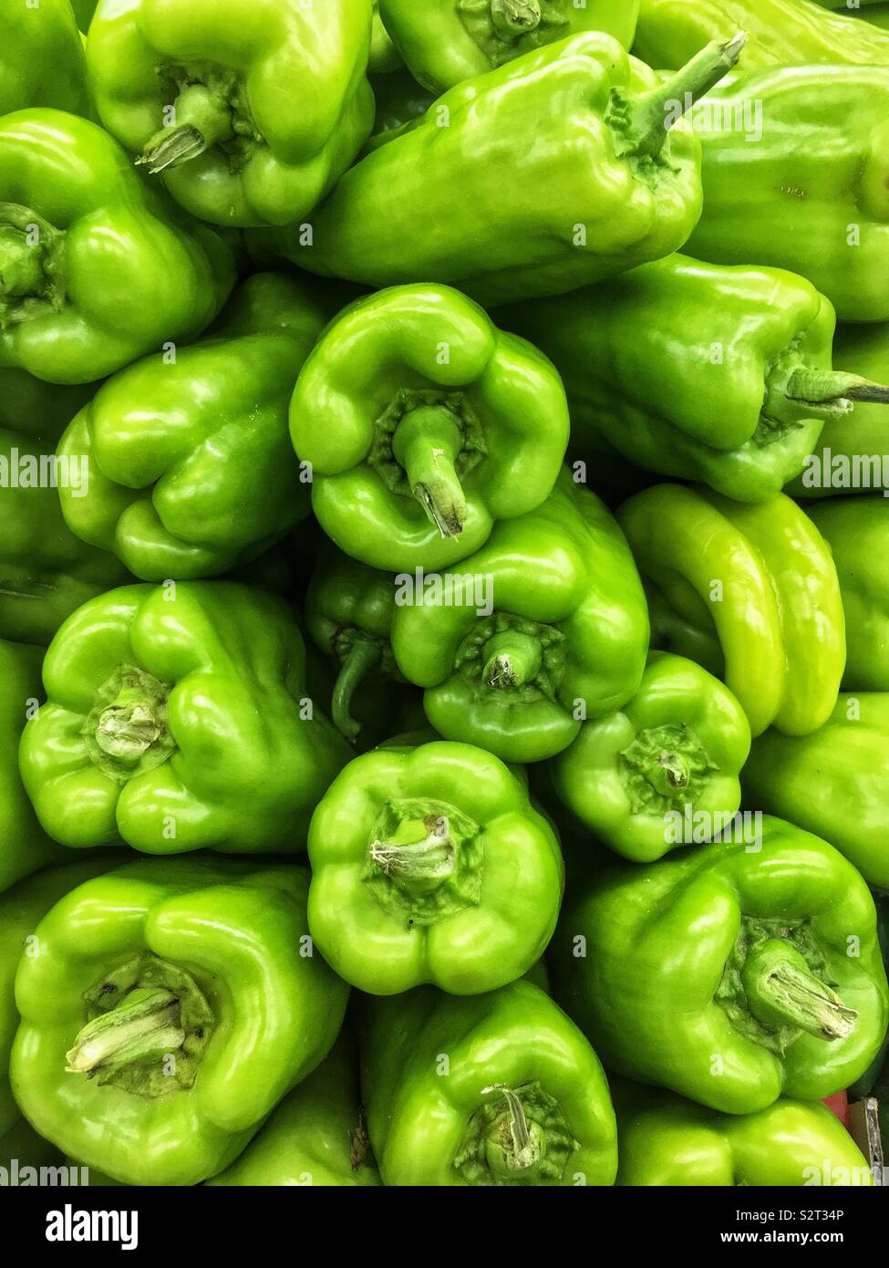 Stack of farm fresh delicious tasty green Cubanelle peppers. Stock Photo