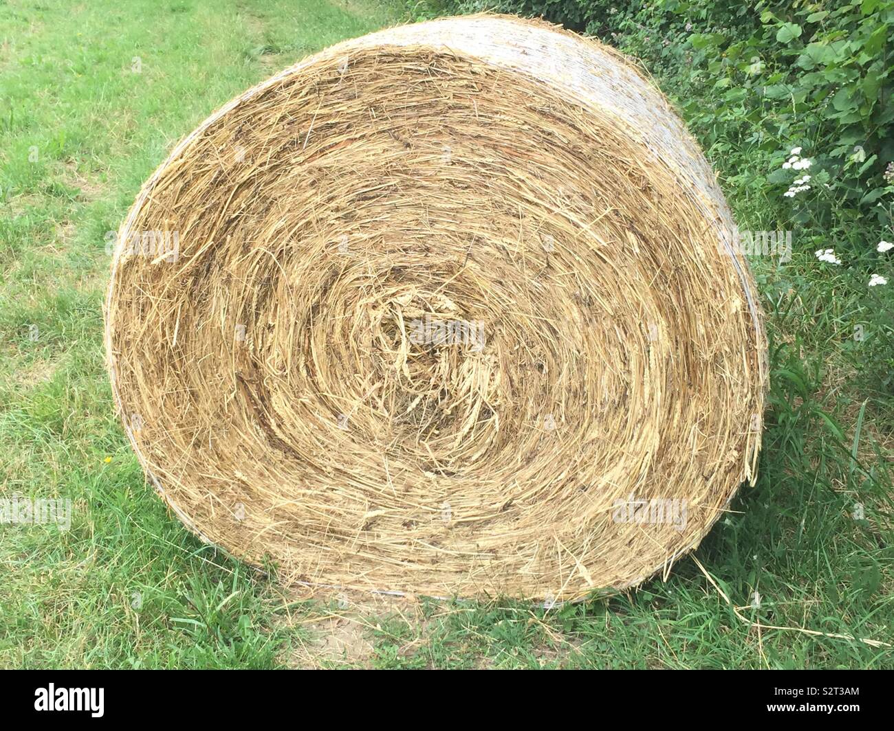 Bundle of hay hi-res stock photography and images - Alamy