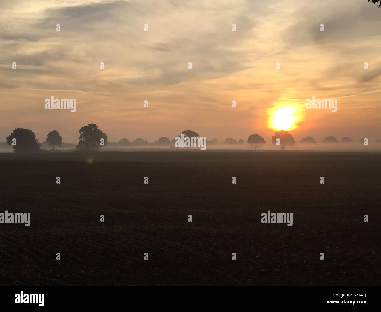 Good morning sun hi-res stock photography and images - Alamy