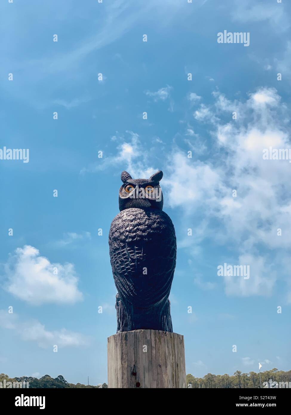 Statue of an owl sitting on a post - Smartphone Captured Stock Image