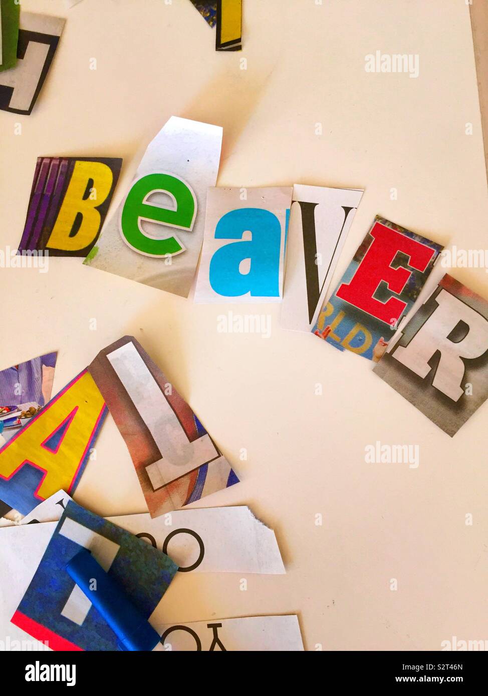 The word beaver spelled out in ransom note style on a white desktop, USA - Smartphone Captured Stock Image