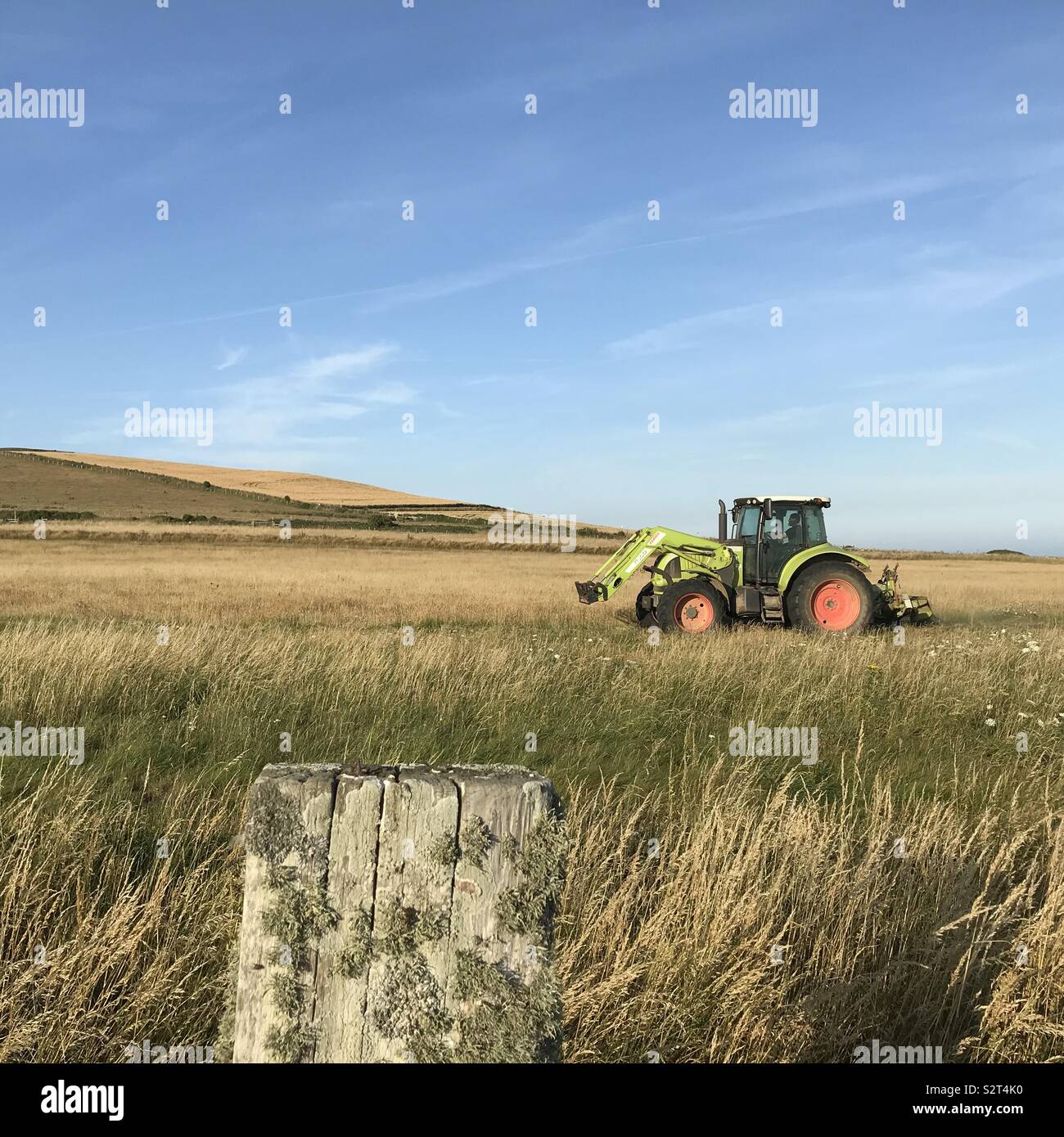 Cutting Flower Farm High Resolution Stock Photography and Images - Alamy