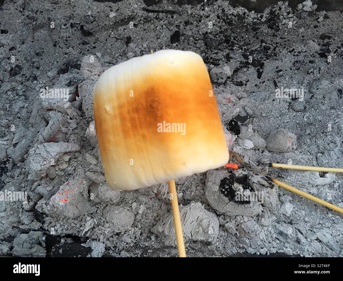 Toasted Marshmallow Stock Photo