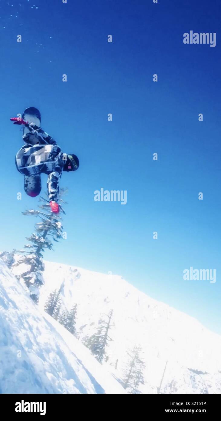 Bear Valley Ski Resort Northern California A Snowboarder In The Air Doing A Trick Beautiful Blue Sky Wearing Red Gloves And Black And White Jacket Trees With Snow In The Background Bear Valley Ski Resort Northern California A Snowboarder In The Air Doing A Trick Beautiful Blue Sky Wearing Red Gloves And Black And White Jacket Trees With Snow In The Background
