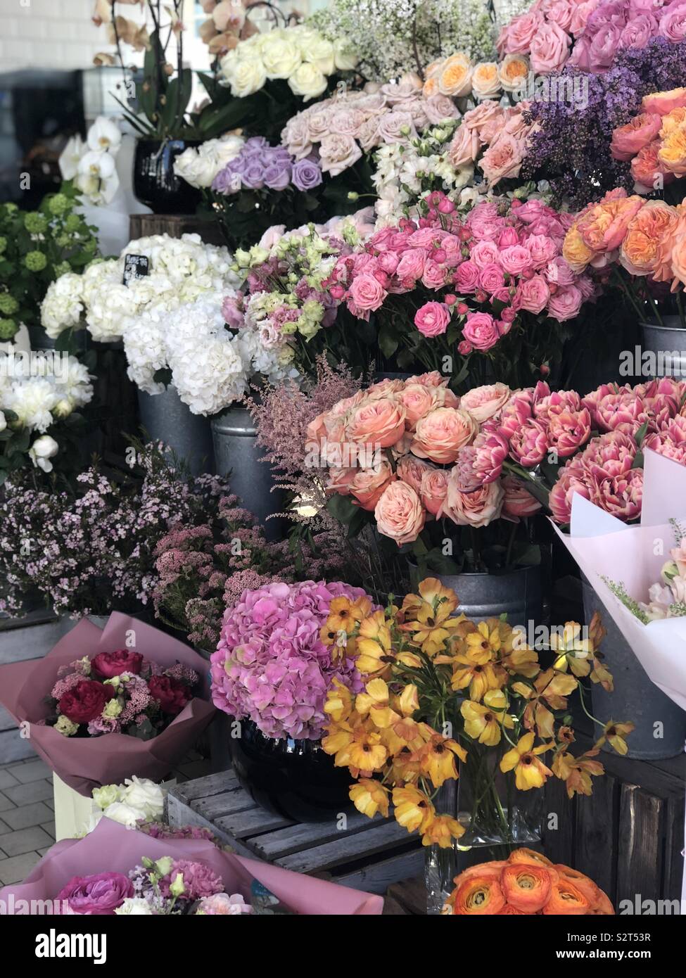 Colourful Flower market display with roses and hydrangea Stock Photo ...