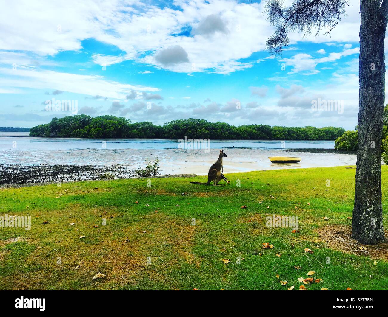 Joey boat hires stock photography and images Alamy