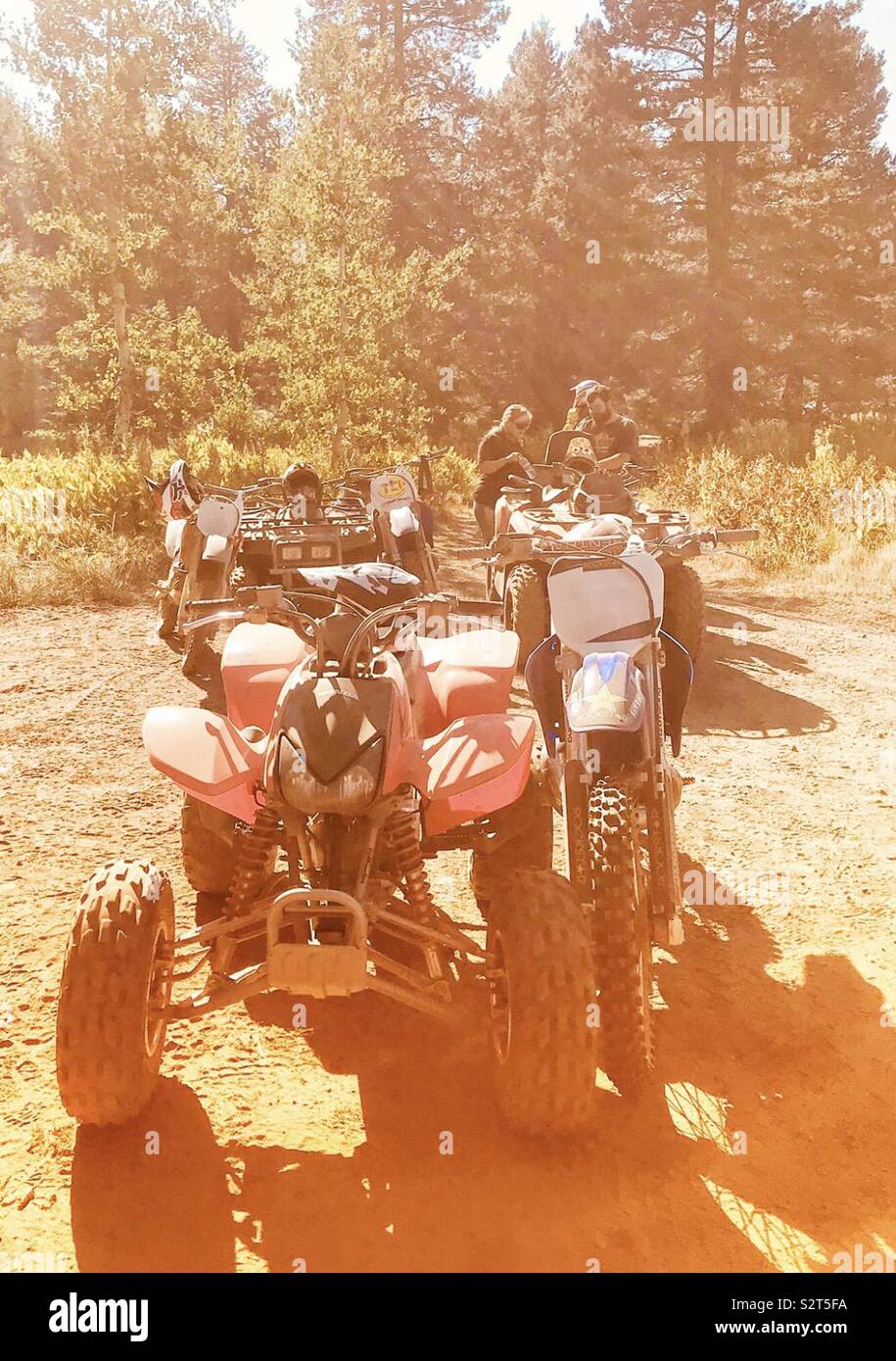 Quads parked, sun shining down on them, reflecting on the dirt ground, surrounded by trees among the forest Stock Photo
