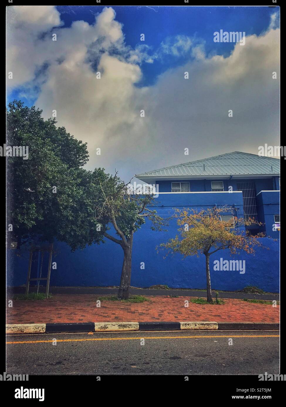 Blue building with green trees on pavement. - Smartphone Captured Stock Image