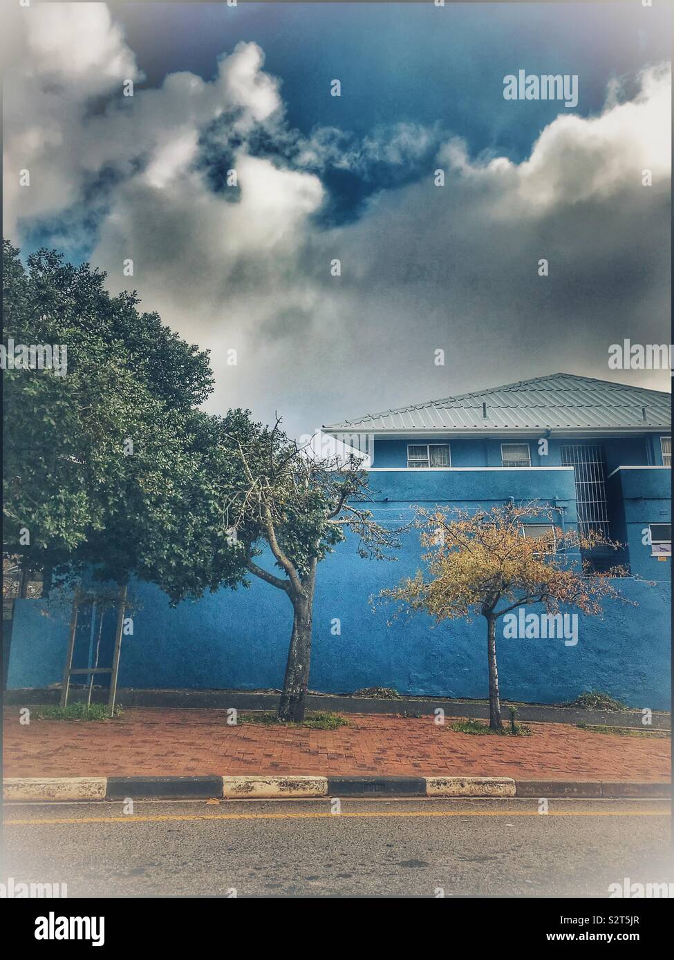 Blue building with green trees on pavement. - Smartphone Captured Stock Image