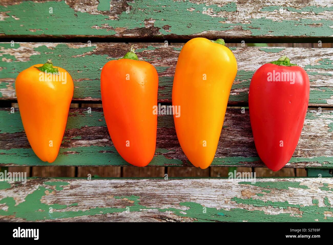 Four peppers in a row Stock Photo