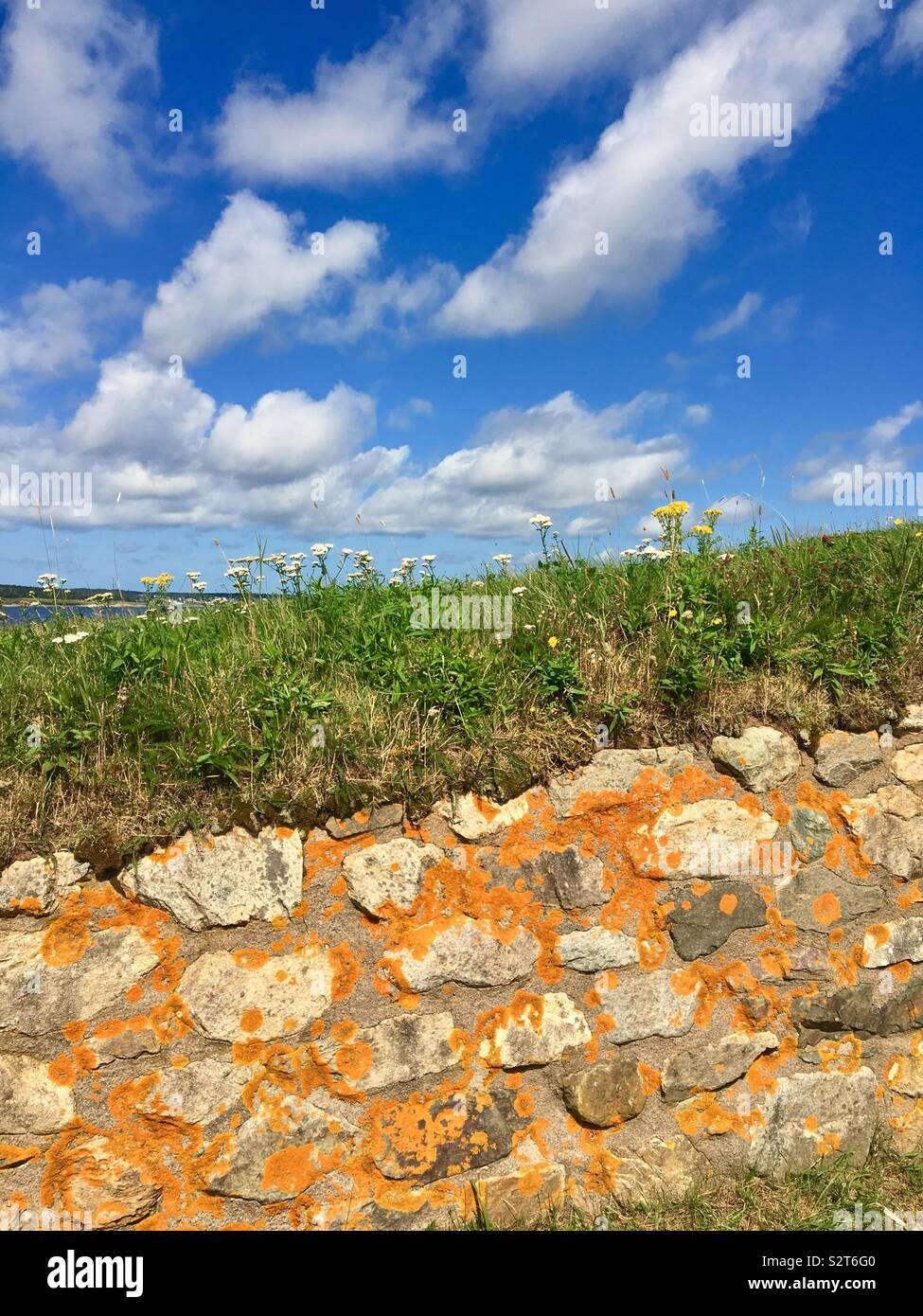 Old cobblestone wall in country with wildflowers and puffy white clouds in summer - Smartphone Captured Stock Image