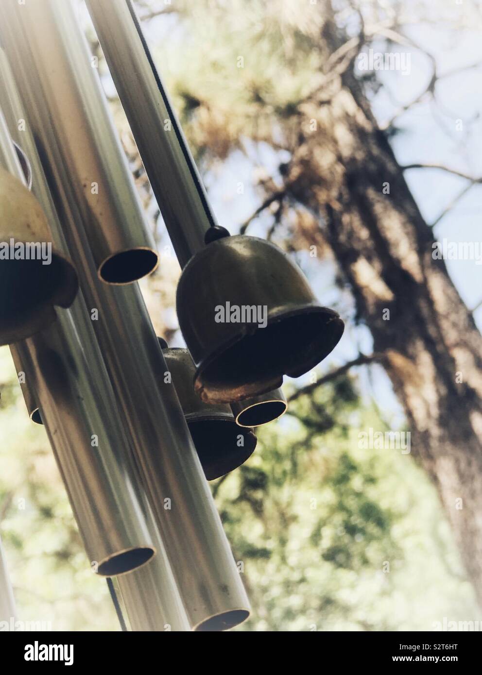 Chime with bells among tall trees and branches Stock Photo Alamy