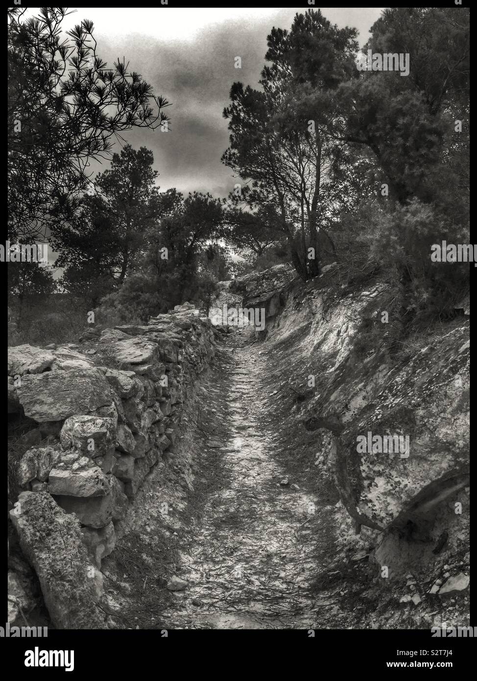 Where the Riu [river] Matarranya meets the Riu d’Ebre are the fortified trenches and tunnels at Punta del Duc near Fayón - the remnants of intensive fighting in 1938 during the Spanish Civil War. - Smartphone Captured Stock Image