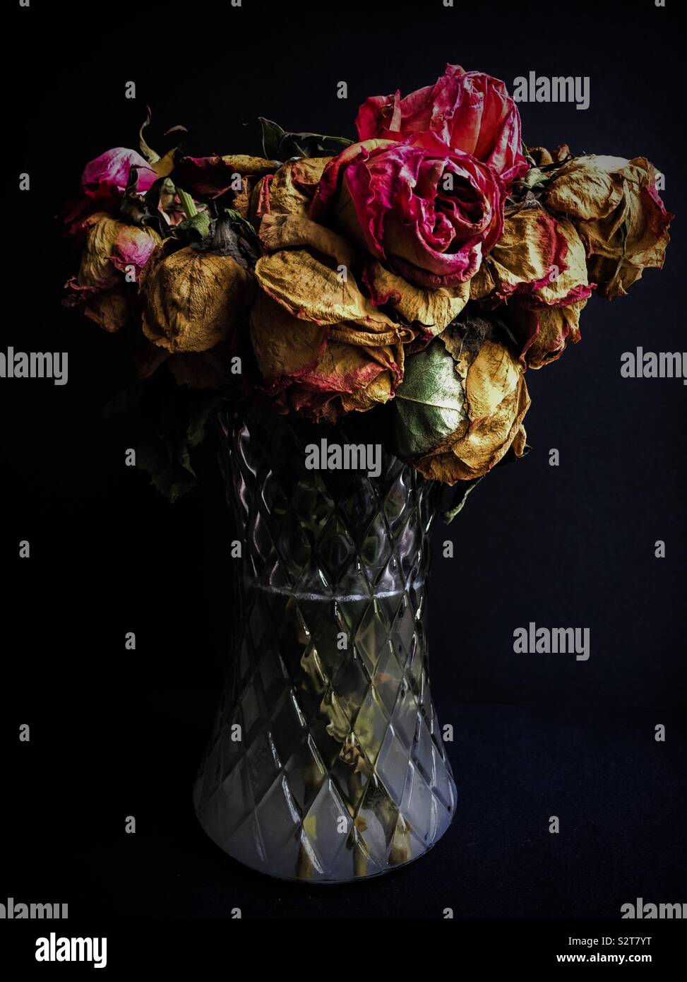 Glass vase with dead roses Stock Photo Alamy