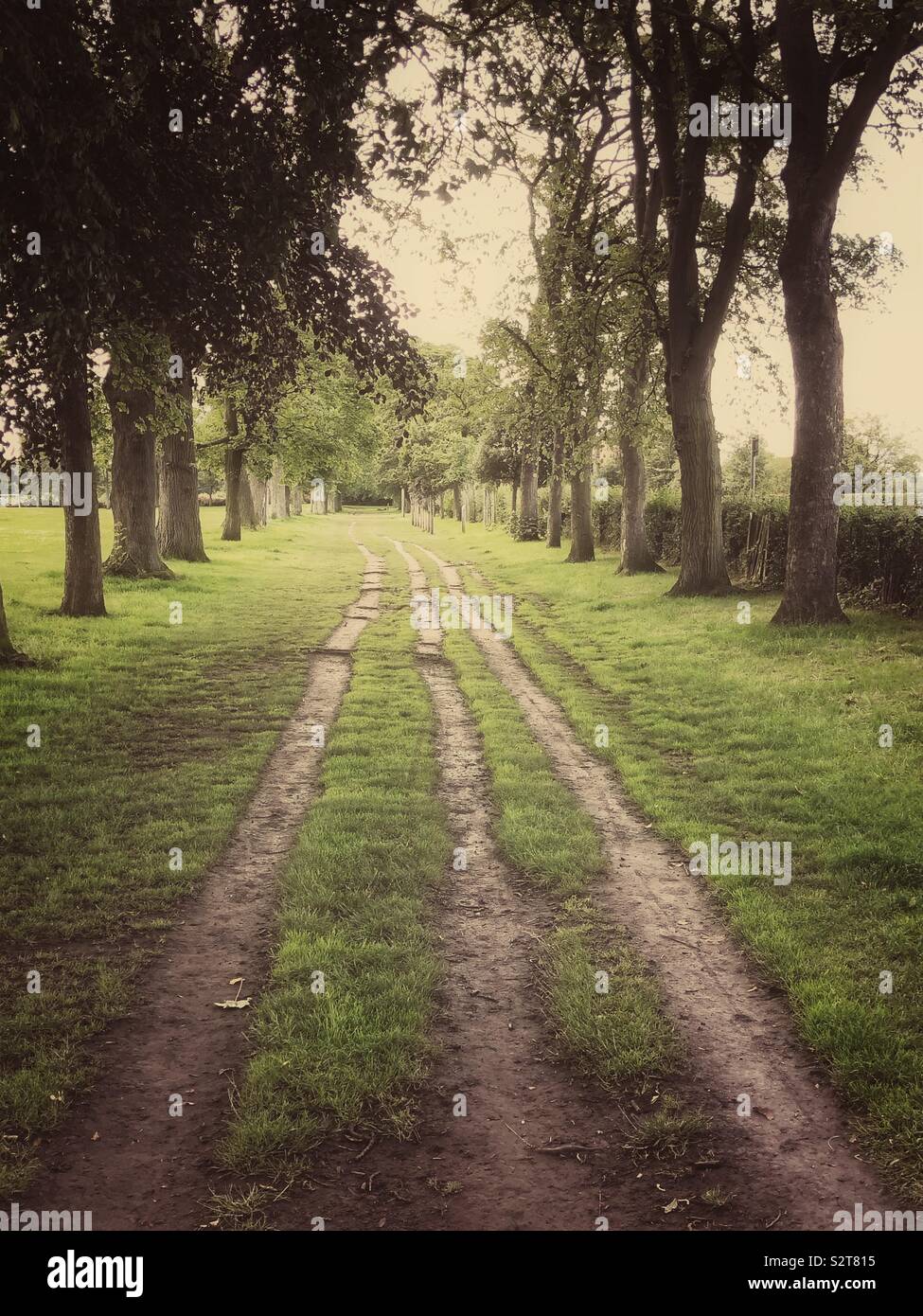 Muddy track in the park - Smartphone Captured Stock Image