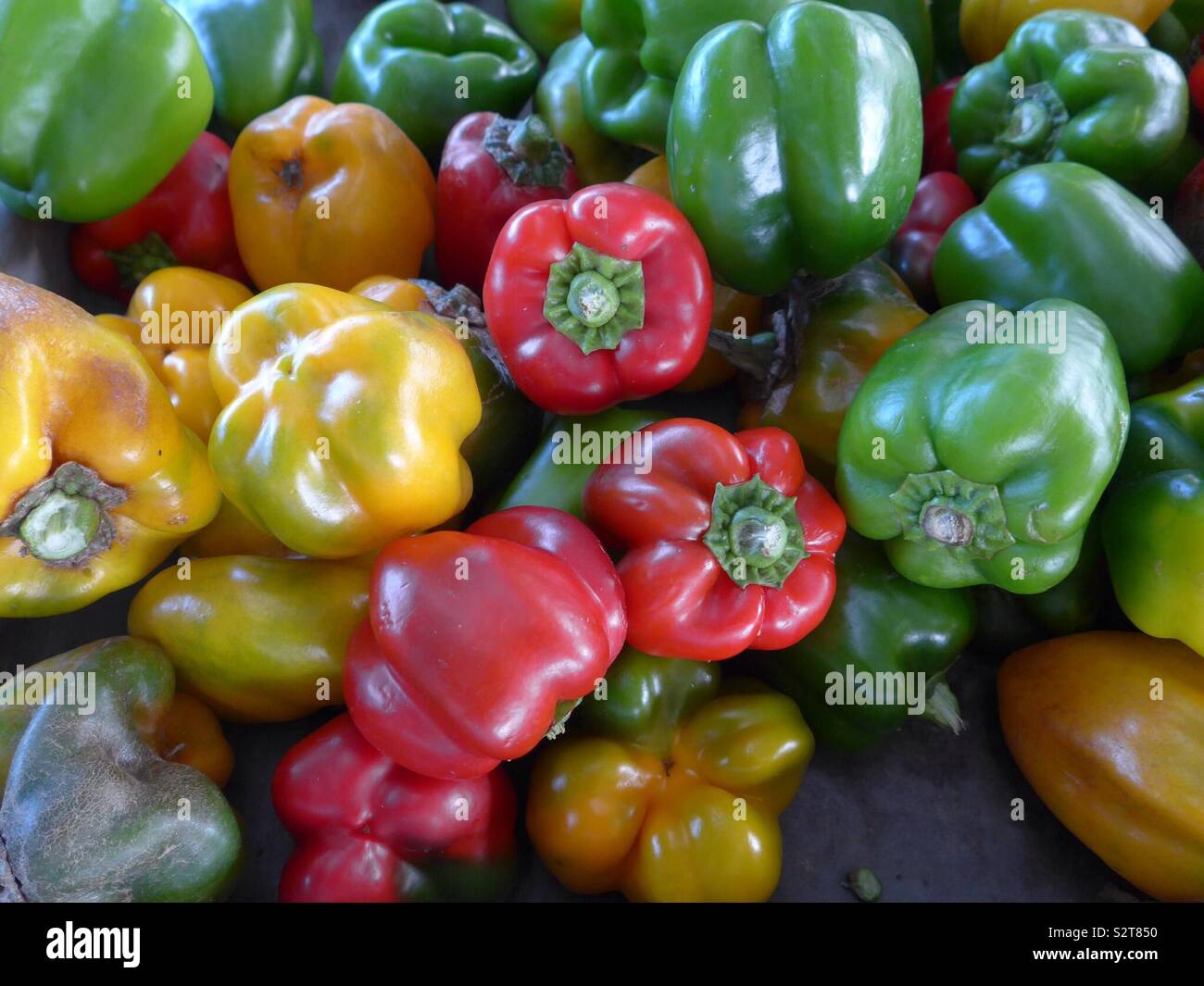 Peppers - Smartphone Captured Stock Image
