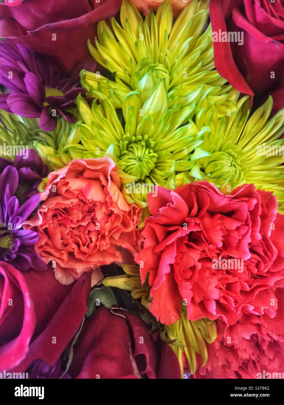 Bunch of fresh colorful summer flowers including green chrysanthemums and pink carnations. - Smartphone Captured Stock Image