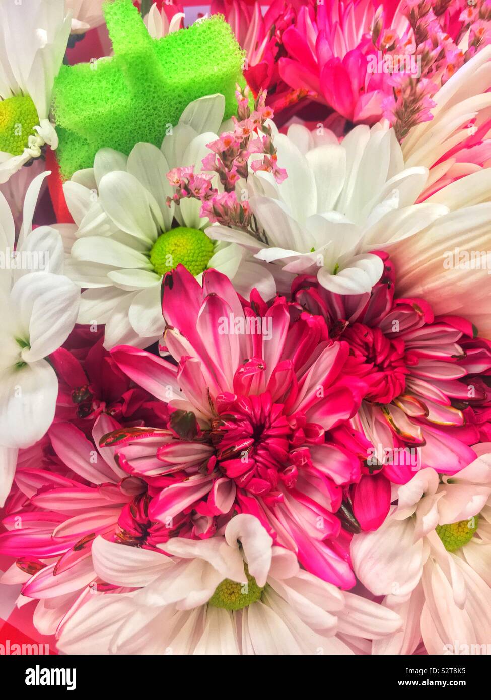 Beautiful bouquet of fresh summer flowers and a green star sponge. Stock Photo