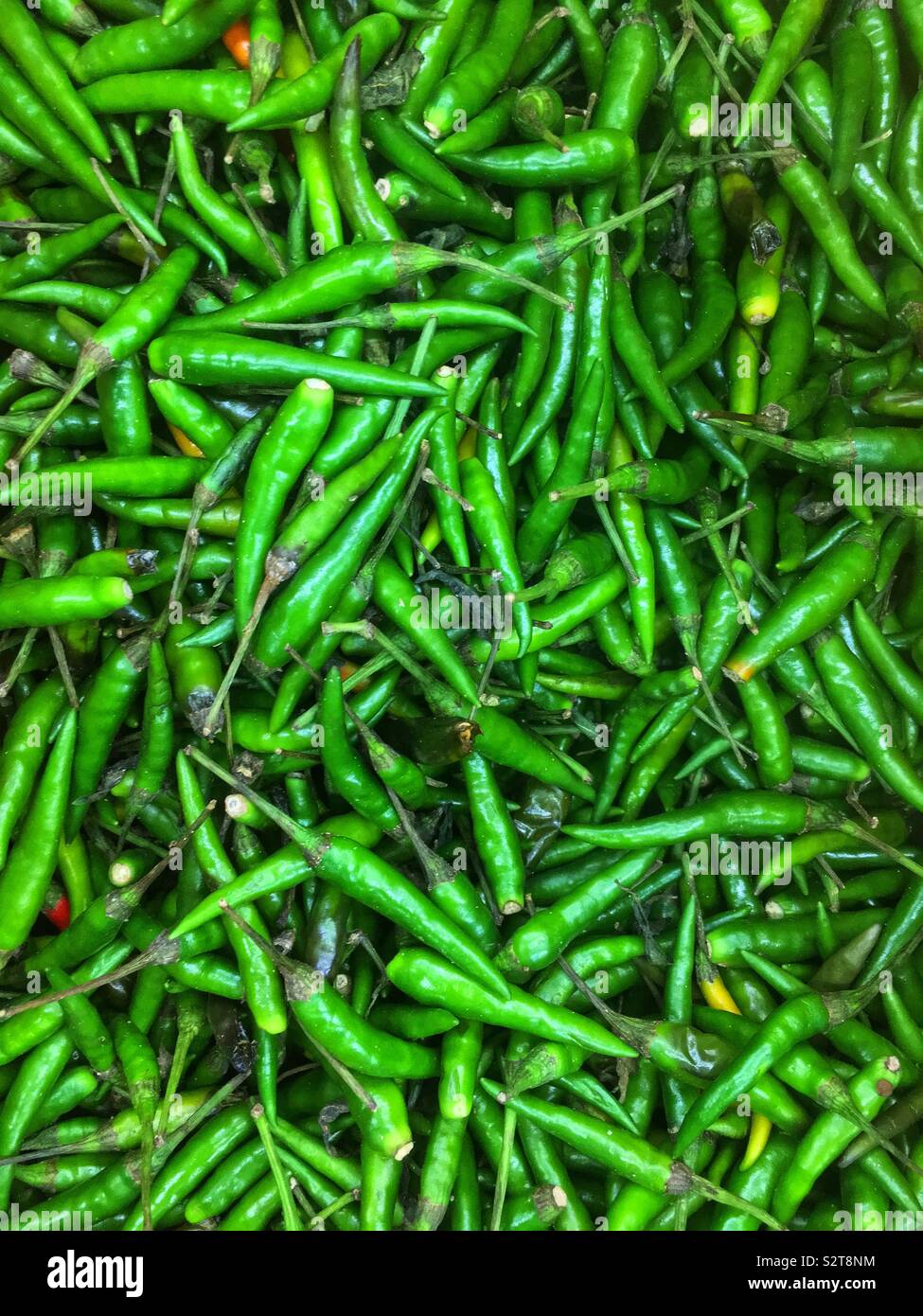 Full frame of farm fresh green Thai peppers. Stock Photo