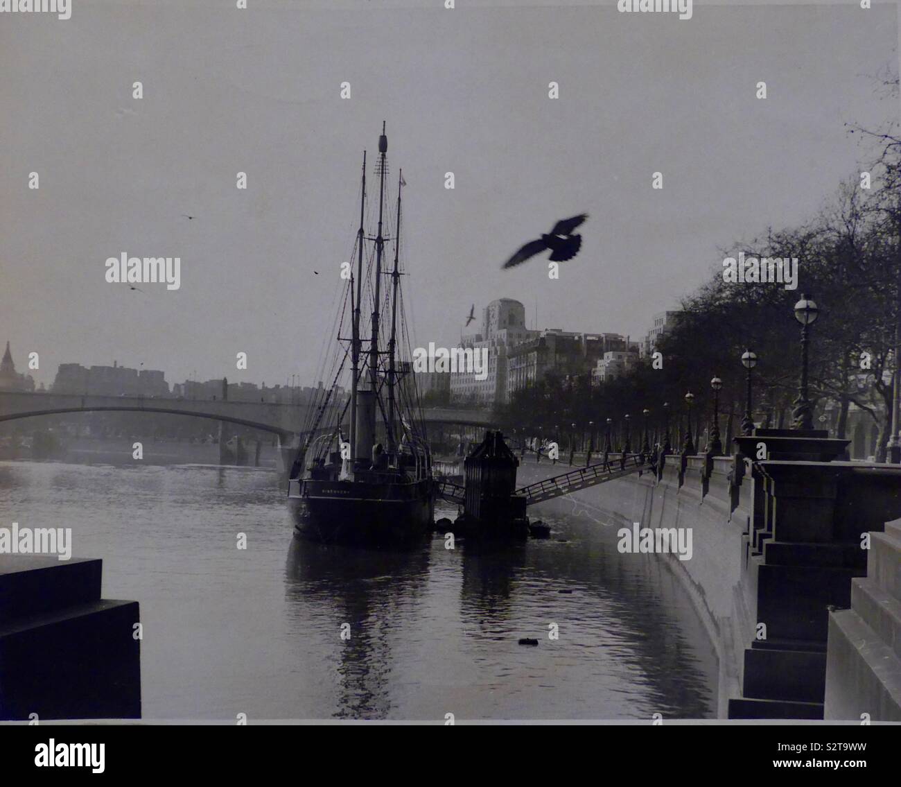 River Thames - Smartphone Captured Stock Image