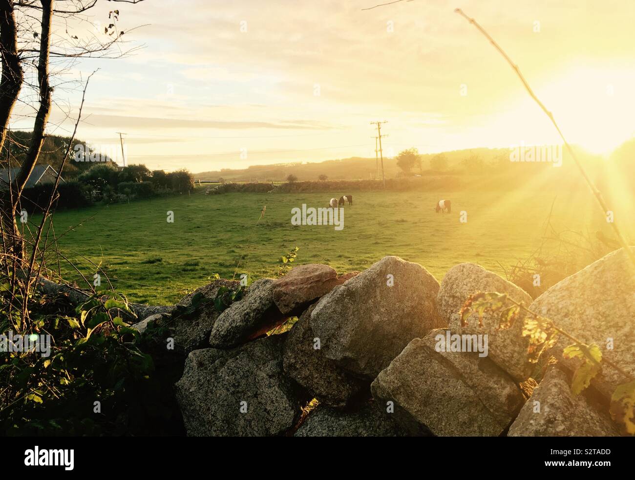 Sunrise over a field hi-res stock photography and images - Alamy