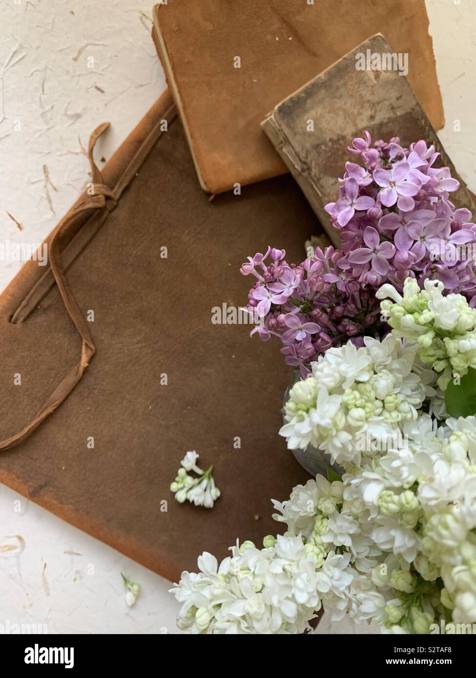 Fresh lilacs on vintage books - Smartphone Captured Stock Image