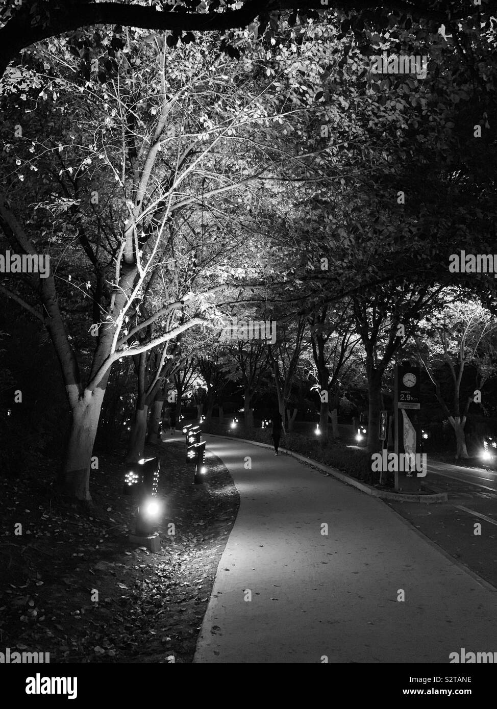 Ilsan Lake Park at Night (Korea) Stock Photo