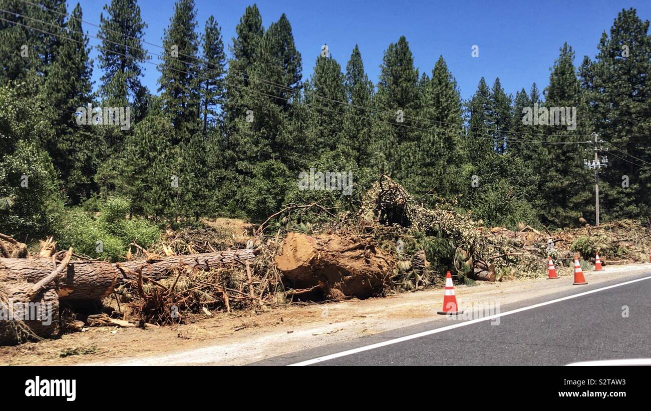 Northern California, Trees, roots and stumps laying along highway after being extracted by cal