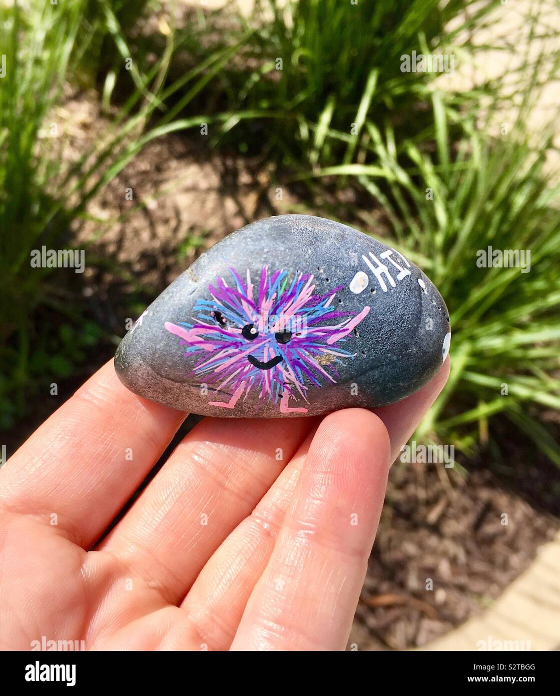 Caucasian woman holding gray kindness rock with purple and blue fuzzy smiley face creature saying hi, long green grass and wood chip park setting in background - Smartphone Captured Stock Image