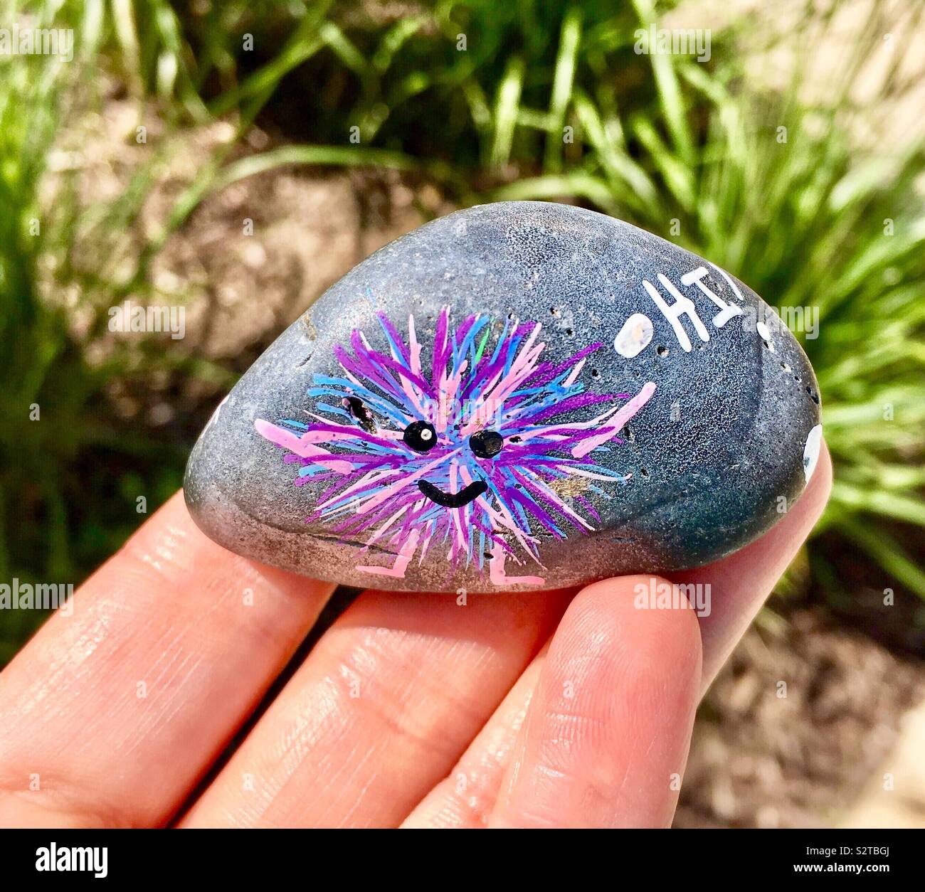 Caucasian woman holding gray kindness rock with purple and blue fuzzy smiley face creature saying hi, long green grass and wood chip park setting in background - Smartphone Captured Stock Image