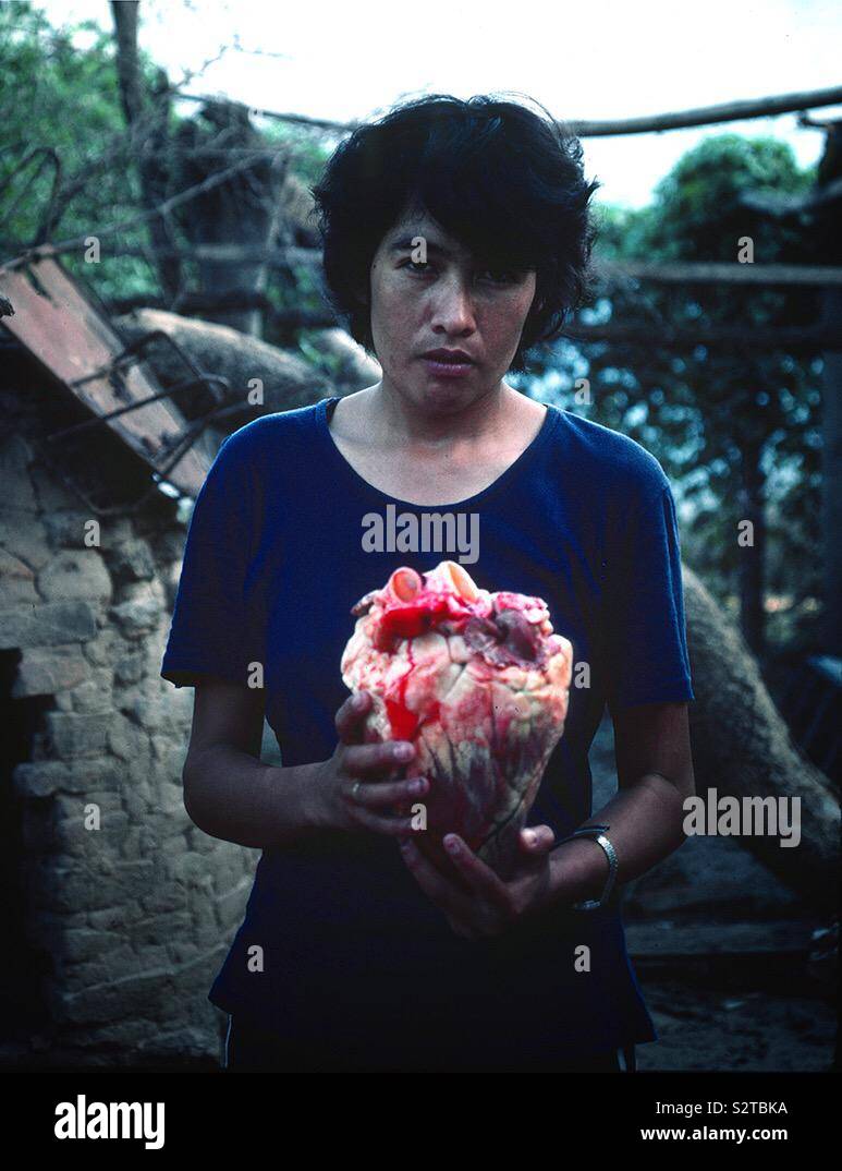 Woman handling a heart cow. Stock Photo