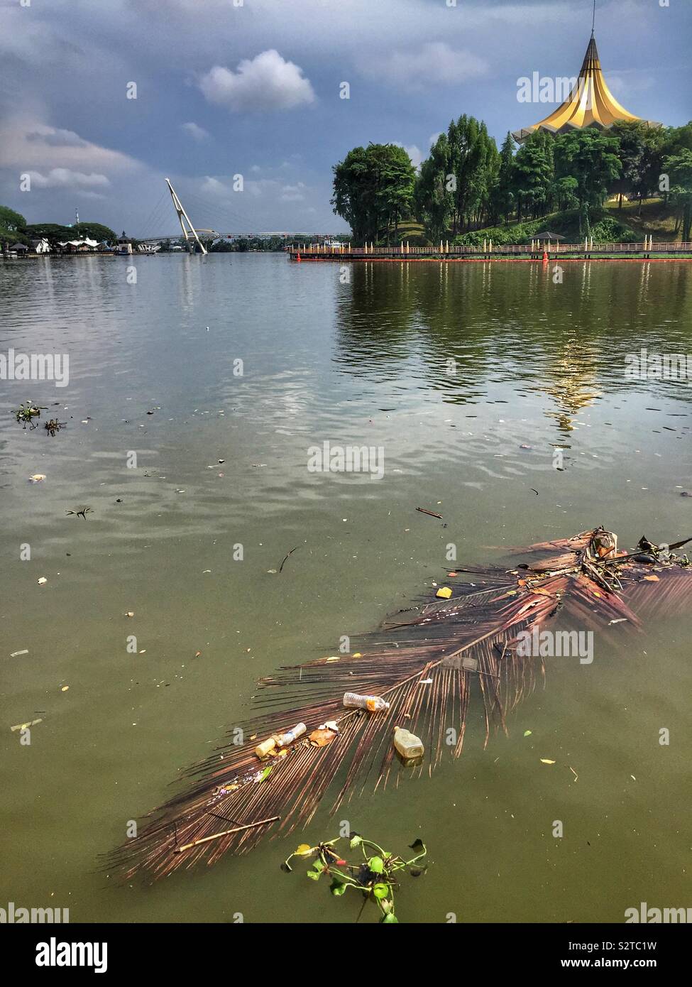 Natural debris and plastic garbage washed down the Sarawak River by tropical rain, Kuching Waterfront, Sarawak, Malaysia Stock Photo