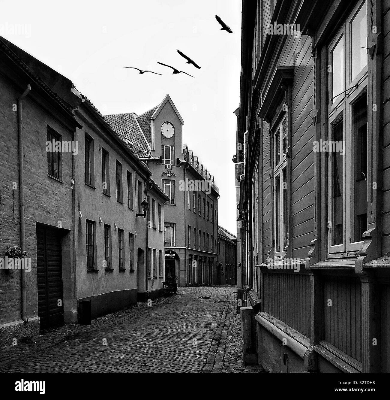 Eerie, empty street with black birds flying over a building with a handless clock face - Smartphone Captured Stock Image