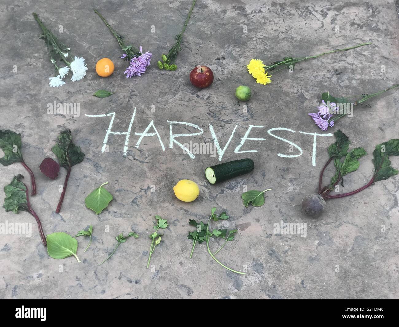The word harvest written with sidewalk chalk on the pavement outside