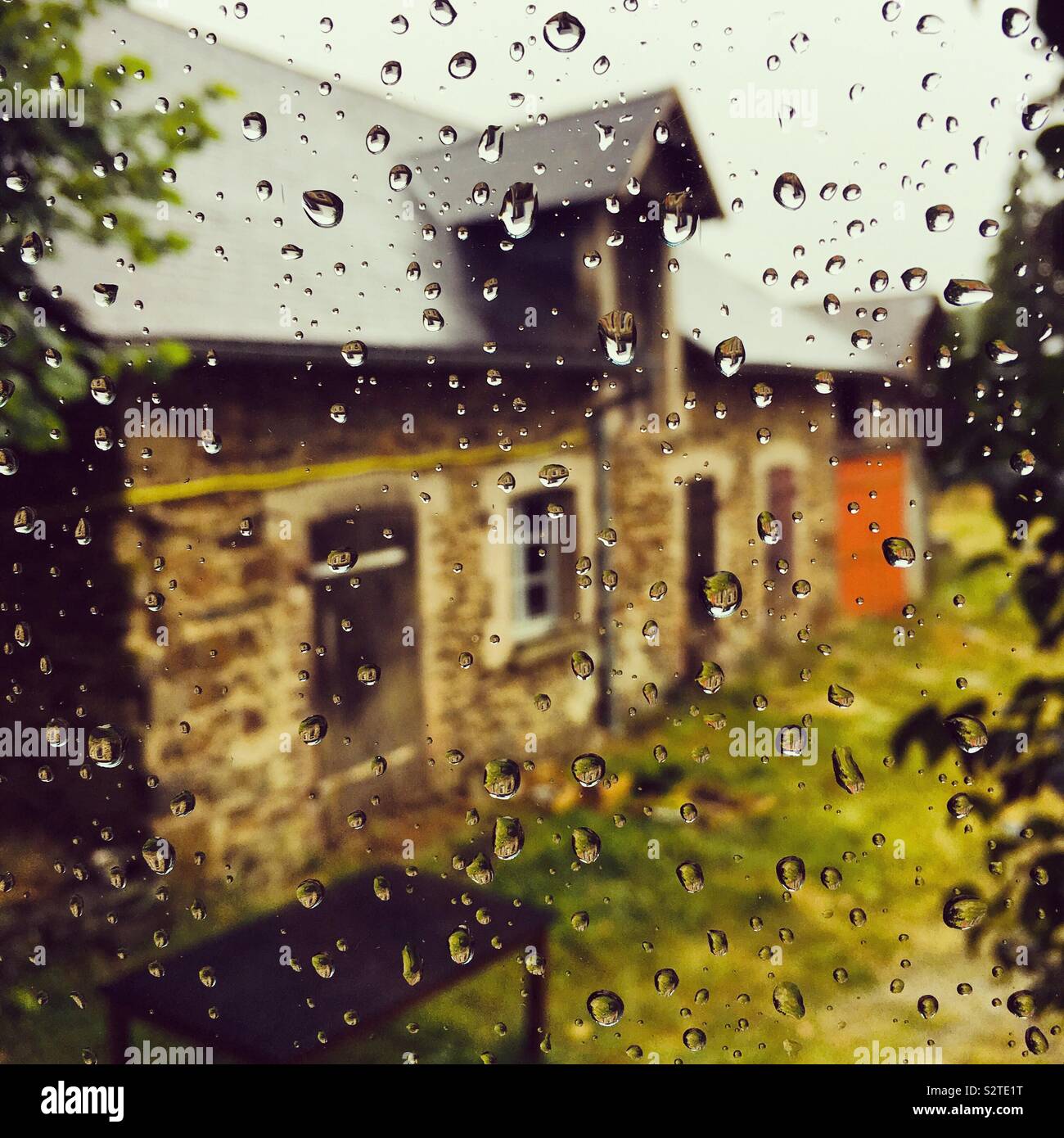 Rainy day at the farm - Smartphone Captured Stock Image