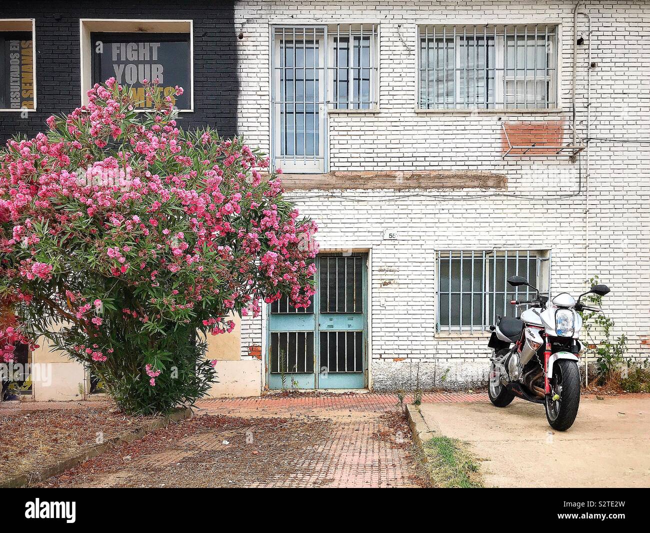 A motorcycle is parked in front of a somewhat dilapidated building with white painted brickwork and doors and windows secured by metal bars, painted light blue. A shrub is in full bloom Stock Photo